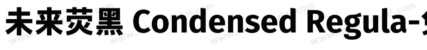 未来荧黑 Condensed Regula字体转换